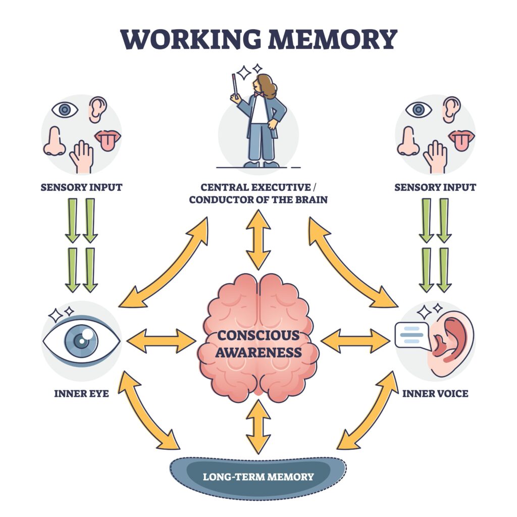 memoria de trabajo
